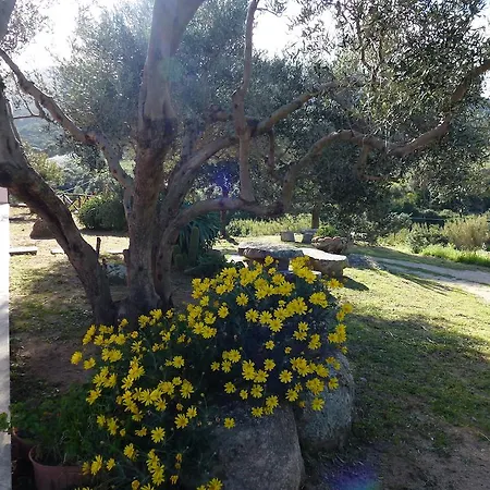 Agriturismo Sa Mandria Farm stay