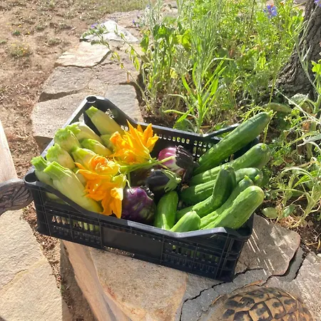 Feriegård Sa Mandria *