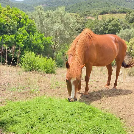 Farm stay Agriturismo Sa Mandria