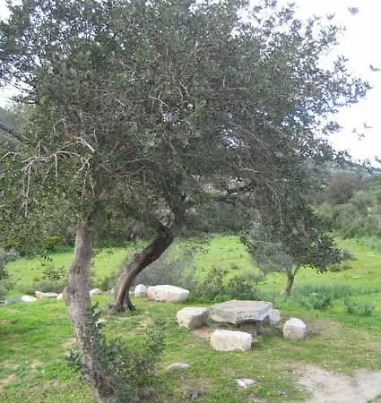 Agriturismo Sa Mandria
