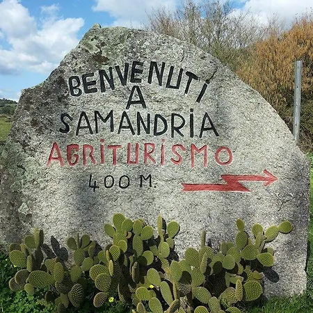 Farm stay Agriturismo Sa Mandria *