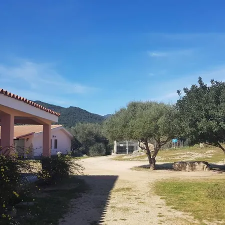 Farm stay Agriturismo Sa Mandria