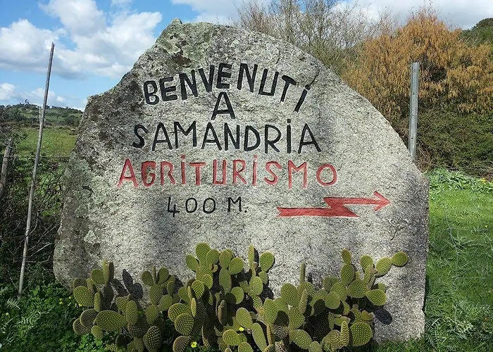 Agroturismo Sa Mandria *