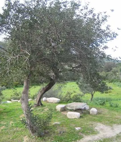 Sa Mandria
